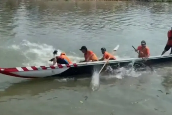 Khán giả ném đá vận động viên đua ghe rơi xuống sông, cơ quan chức năng vào cuộc làm rõ