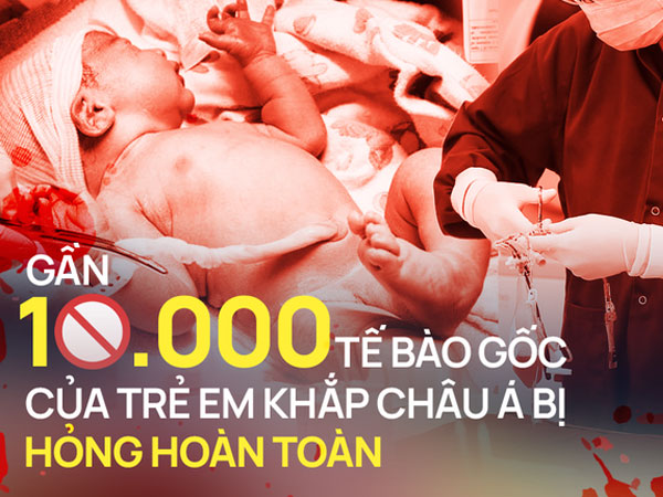 Bê bối chưa từng có ở ngân hàng máu cuống rốn trải rộng khắp châu Á: Gần 10.000 tế bào gốc của trẻ sơ sinh hỏng hoàn toàn, cha mẹ tuyên bố không chấp nhận bồi thường