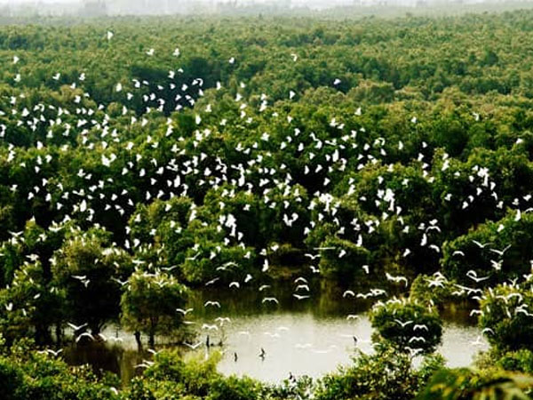 Những điểm đến thư giãn, mát lành cho kỳ nghỉ lễ 30/4 tại TP.HCM
