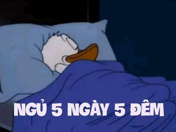 'Ngủ suốt 5 ngày 5 đêm dịp nghỉ lễ' - trào lưu mới được giới trẻ hưởng ứng nhiệt tình