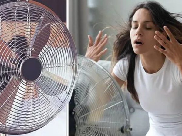 Tối đi ngủ đừng chĩa quạt vào người, đây mới là mẹo dùng quạt chuẩn chuyên gia, chống nóng ‘siêu đỉnh’