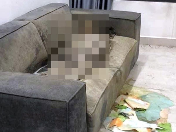 Cô gái chết trên sofa: Chuyên gia pháp y lý giải hiện tượng 'chết khô'