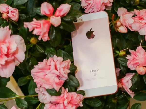 Tin buồn cho những ai đang sử dụng mẫu iPhone này, bán đổi máy ngay vì nó sắp thành'cục gạch'