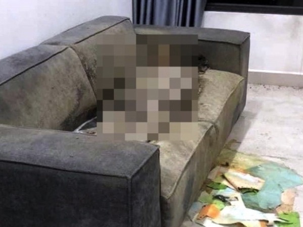 Vụ cô gái tử vong trong chung cư ở Hà Nội: Bác sĩ pháp y lý giải hiện tượng thi thể khô trên sofa