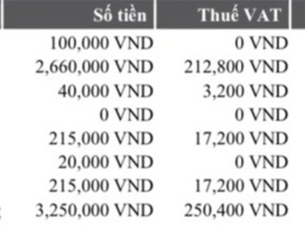 Giá vé máy bay tăng cao, thuế phí đang được tính ra sao?