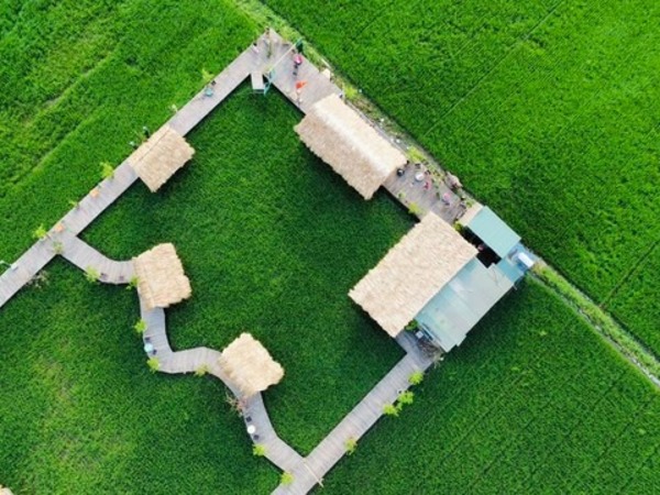 Phát hiện quán cà phê ruộng lúa cực mới, cực chill ngay ở Hà Nội, cách trung tâm chưa đến 30km