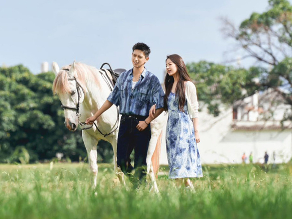 Phim Việt bội thực tiểu tam, khán giả thì khát phim chữa lành
