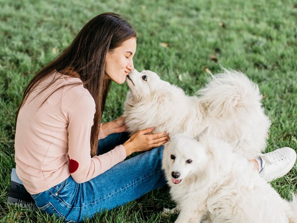 Vợ nuôi 4 con cún để 'chữa lành', con cái thì bỏ bê