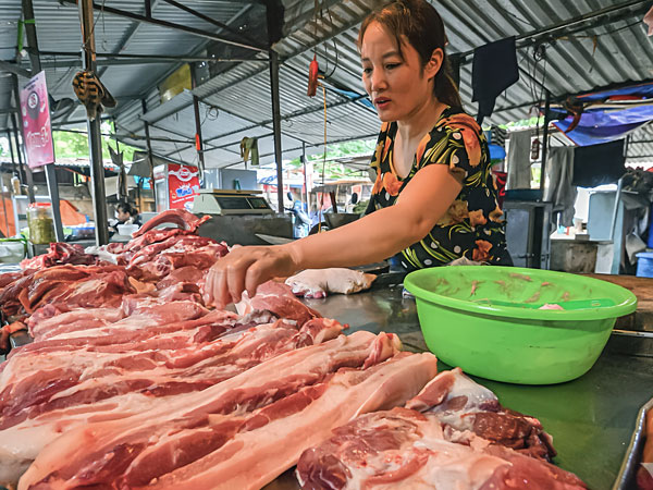 Giá thịt lợn lập đỉnh, ‘đại gia’ chăn nuôi lãi khủng
