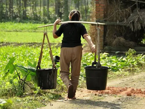 Chồng mất sớm, tôi oằn lưng nuôi 3 người em chồng: Cả làng cho là dại dột, 20 năm sau xảy ra biến cố khiến tôi hiểu LÒNG NGƯỜI!