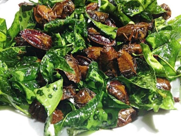 Đặc sản khiến người Việt ám ảnh, người nước ngoài lại thi nhau bắt vì giá gần 3 triệu/kg