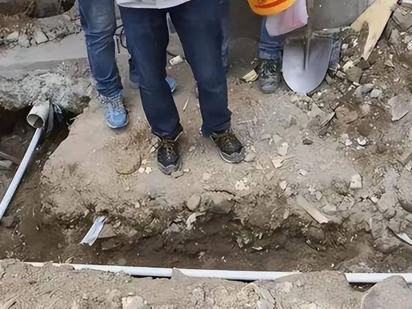 Đào được vật thể màu trắng trong sân, ông lão hét lên tại chỗ: 'Đây chắc chắn là con gái tôi'
