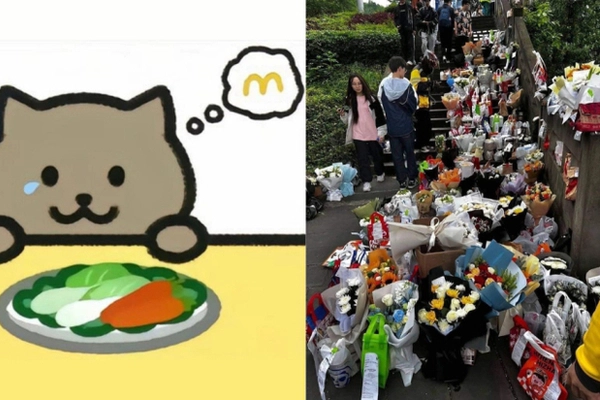 'Tình hình hiện tại của Đàm Trúc' được tìm kiếm ráo riết sau vụ Mèo Béo có kết luận điều tra