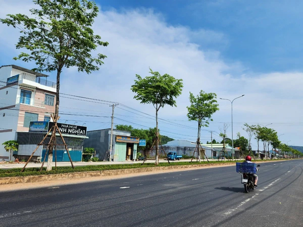 Vì sao TP HCM yêu cầu nhiều đơn vị cung cấp hồ sơ về cây xanh cho cơ quan điều tra Bộ Công an?