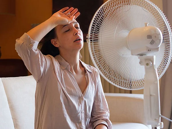Mùa hè dùng quạt trần hay quạt cây để tiết kiệm điện?