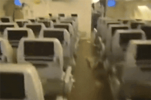 Vụ hàng chục người thương vong trên chuyến bay của Singapore Airlines: Chuyện gì đã xảy ra? Hành khách cần làm gì để bảo vệ chính mình?
