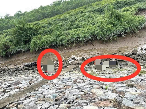 Phát hiện 2 nam thanh niên tử vong dưới chân đê ở Hà Tĩnh