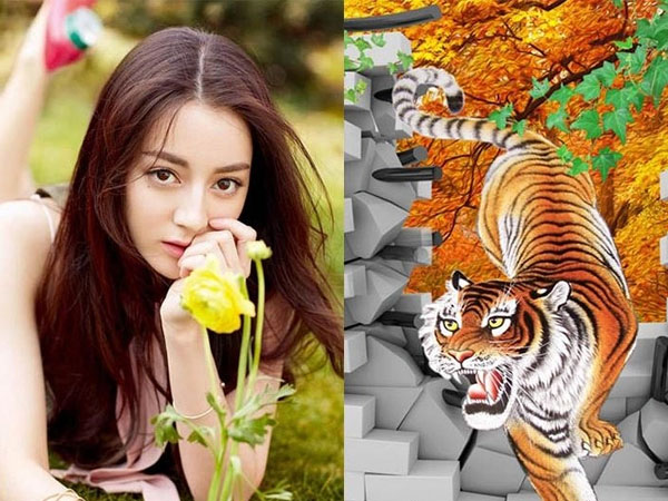 Tử vi tuổi Dần tháng 6/2024: Hung cát tương tề, tập trung hoàn thiện bản thân