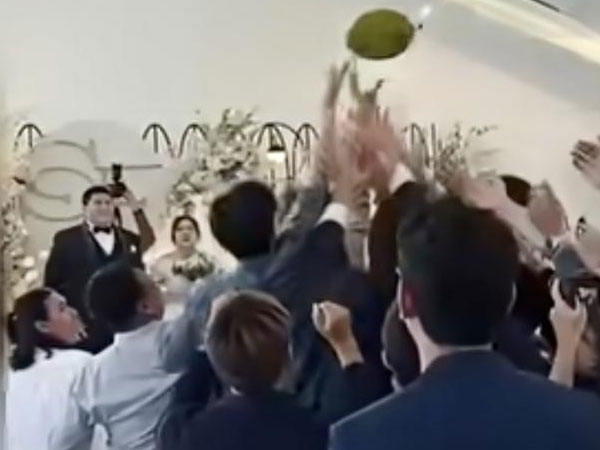 Tung quả sầu riêng để 'nhả vía kết hôn', cư dân mạng hoảng hốt: 'Lỡ rớt trúng đầu thì sao đây?'
