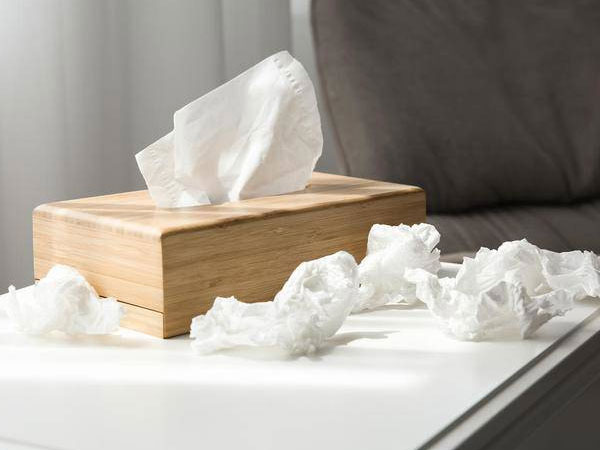 Tại sao không nên đặt giấy vệ sinh ở đầu giường?
