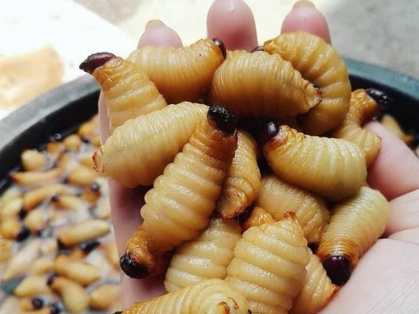 Top những món ăn 'độc lạ' nhất Việt Nam không phải ai cũng dám thử