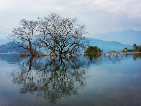 Một thế giới 'đẹp mơ màng khó tin' nằm ẩn mình trong dãy Trường Sơn