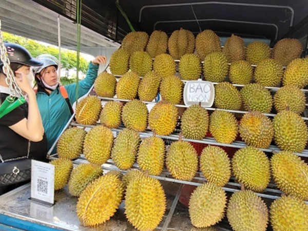 Bất ngờ với giá sầu riêng giảm sốc ở Hà Nội 70 ngàn/kg