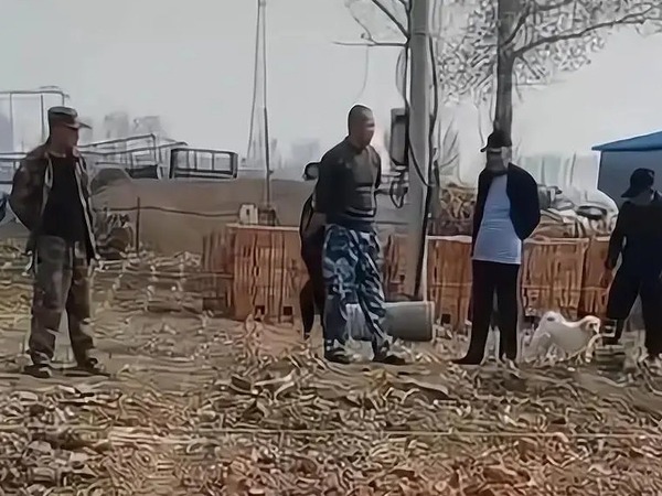 Nghe tin em út ly hôn, 3 anh trai nghỉ làm về quê, xây nhà mới chào đón