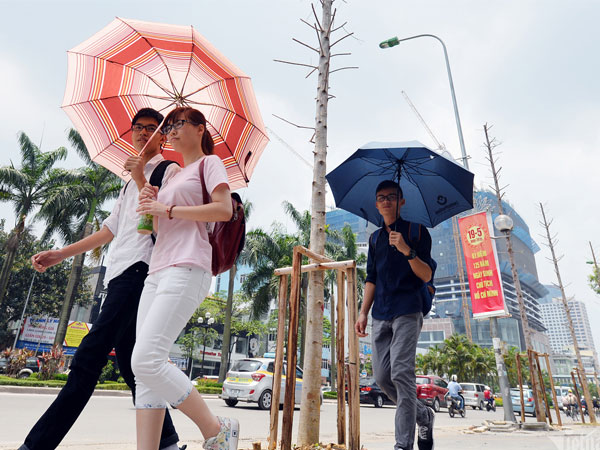 Dự báo thời tiết 3/6/2024: Hà Nội nắng nóng 37 độ C, TP.HCM mưa rào
