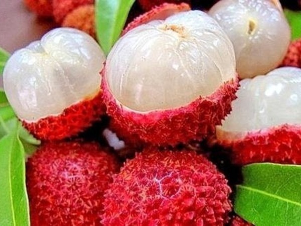 Vải vào mùa ngon ngọt khó cưỡng, ăn thế nào để không nóng trong, ngộ độc?