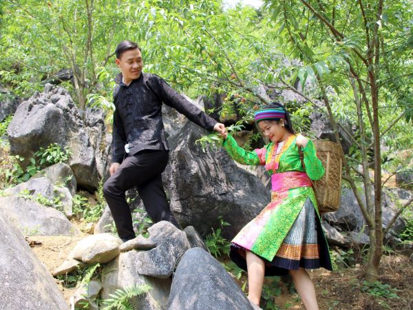Loại quả màu rực rỡ trong hốc đá, sơn nữ mang gùi đi hái khiến du khách ngẩn ngơ