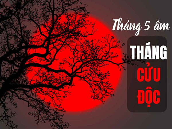 12 con giáp nên làm gì trong tháng Cửu độc để tránh tai ương, làm ăn phát tài bất chấp?