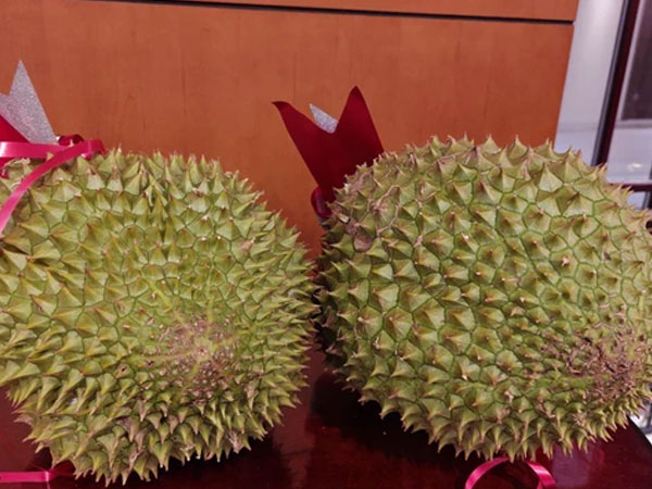Giá sầu riêng biến động mạnh hơn thị trường chứng khoán