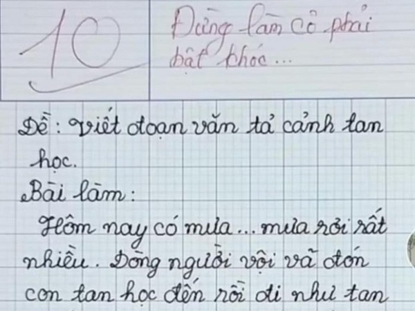 Học sinh tiểu học viết bài văn, chỉ 8 dòng mà khiến cô giáo bật khóc và lập tức chấm 10 điểm
