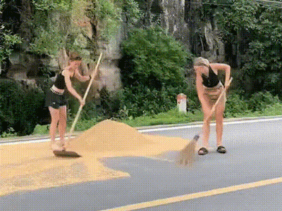 Hình ảnh khiến nhiều người thích thú, khách Tây giúp bà con cào thóc chạy mưa, thao tác chuyên nghiệp không kém người Việt