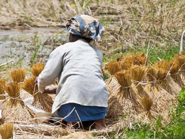 68 tuổi, tôi sống hạnh phúc bên 3 cô con gái xinh đẹp, tài giỏi khiến chồng cũ và gia đình chồng hối hận vì xưa ‘trọng nam khinh nữ'