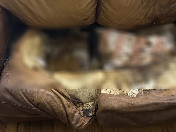 Án mạng chấn động nước Anh: Thi thể người mẹ nhét trong sofa, thái độ của nghi phạm càng bất ngờ