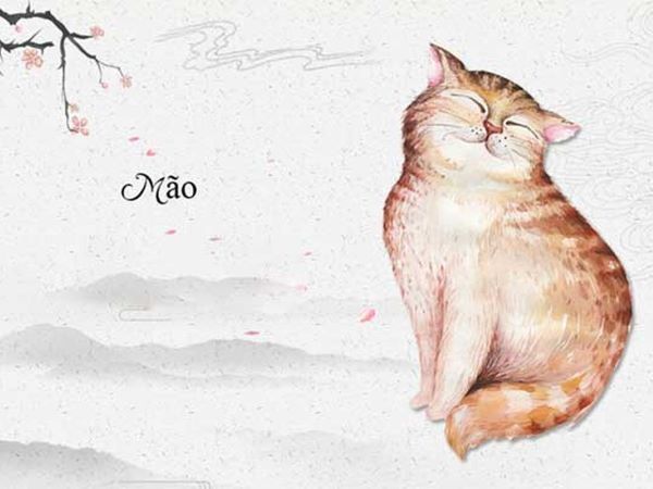 Tử vi 12 con giáp hôm nay - thứ 3 ngày 18/06/2024: Mão tài lộc nở hoa, Thìn công danh cực đẹp