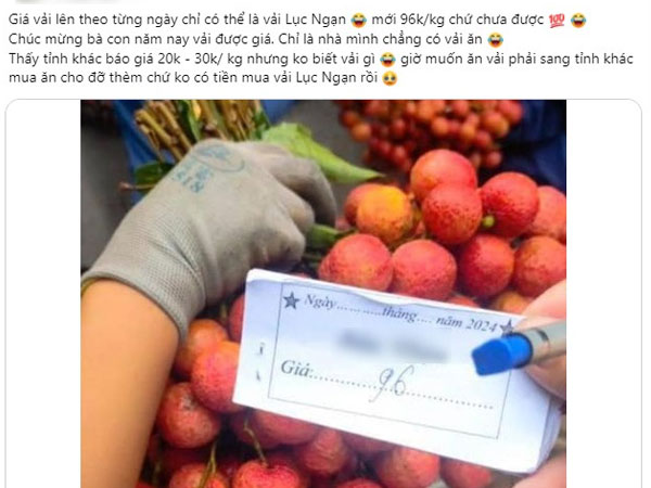 Sự thật về giá vải ở Lục Ngạn cao kỷ lục, có thời điểm lên đến 96.000 đồng/kg