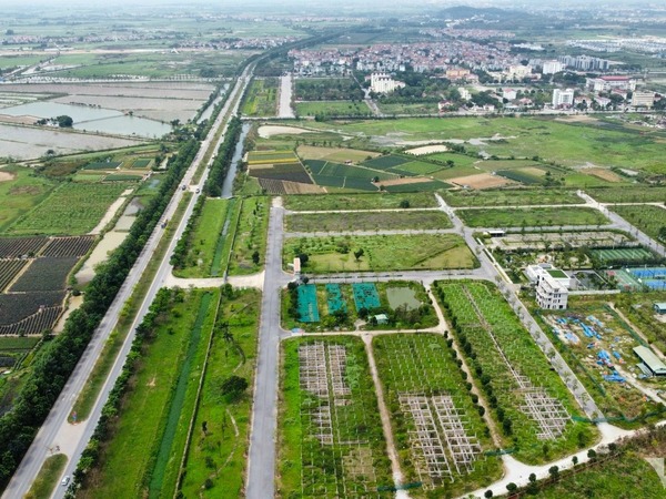 Đất nền ven Hà Nội tấp nập lên sàn đấu giá, khởi điểm từ 14,1 triệu đồng/m2