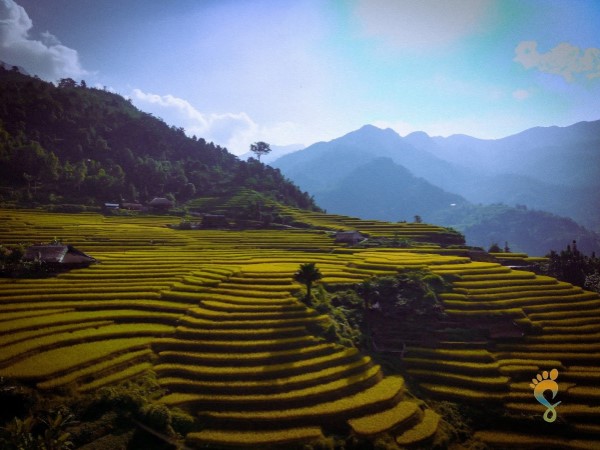 Say đắm lòng người với vẻ đẹp thiên nhiên Xà Phìn