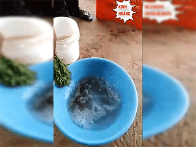 Xôn xao clip mớ rau héo quắt bỗng xanh tươi mơn mởn sau khi nhúng vào chậu dung dịch lạ, dân mạng hoang mang