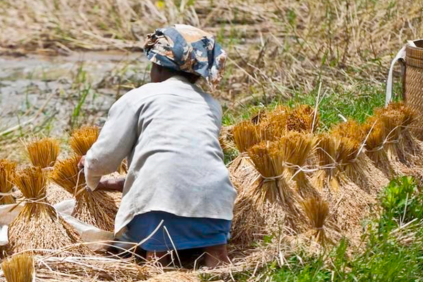Tôi 62 tuổi, giờ hối hận: Lấy chồng như đánh canh bạc, sống khổ đến gần hết đời, giờ chỉ biết dựa vào con