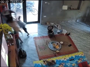 Video: Phản xạ cực nhanh, người bố cứu 2 con thoát nạn trong gang tấc