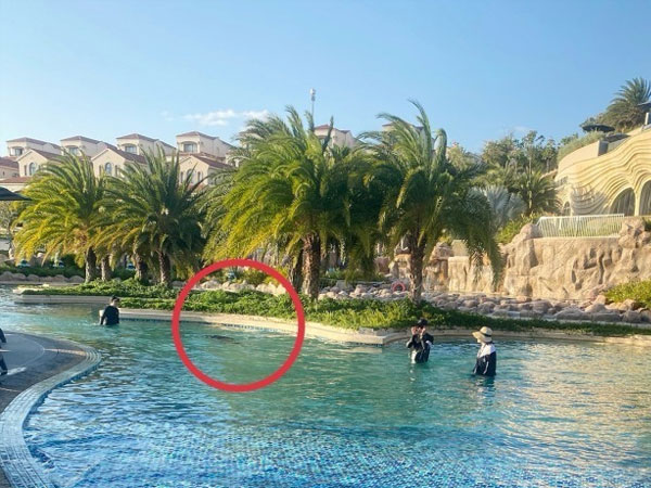 Vì sao vụ bé trai người Nhật bị đuối nước tại resort ở Mũi Né bị tạm đình chỉ?