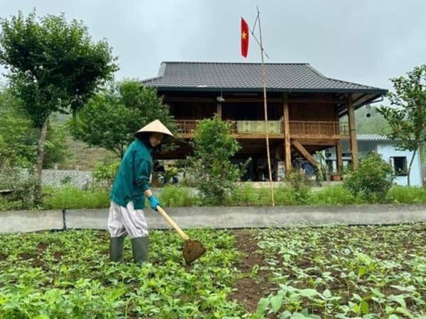 Vợ chồng 'chốt' mua 1500m2 đất rừng qua ảnh vệ tinh, thành quả hiện tại khiến bao người ngưỡng mộ