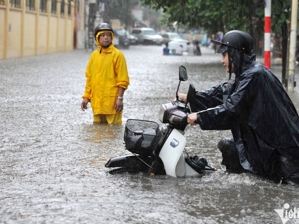 Dự báo thời tiết 2/7/2024: Nhiều nơi ở Bắc Bộ có mưa to