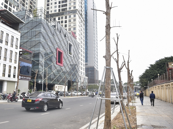 Hà Nội chính thức có phố Quán Tình, đường Trinh Tiết
