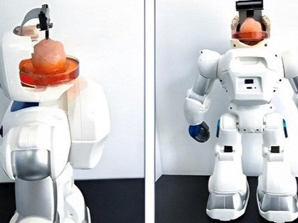 Các nhà khoa học tạo ra robot có bộ não con người