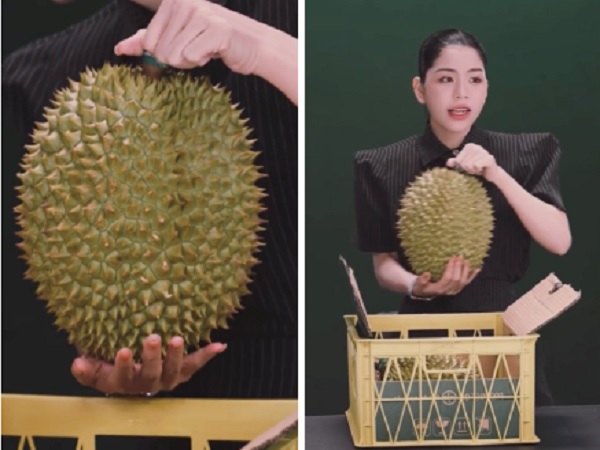 Chưa đầy 5 phút, Hằng Du Mục đã bán hết 22 tấn sầu riêng, fan gọi tên 'chiến thần nông sản' kể từ đây!
